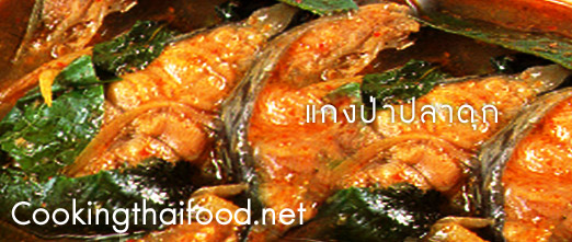 how to cook easy thai catfish curry recipes.